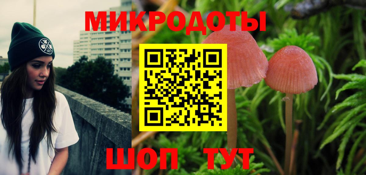 Галлюциногенные грибы Cubensis Арзамас